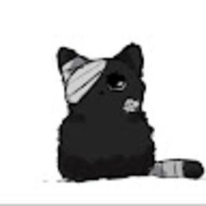 Meet your Posher, Ava